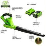 Greenworks 40V Leaf Blower/Sweeper, 150 MPH, Lightweight, Quiet, with 2.0 Ah Battery and Charger, Perfect for Residential Lawn Care, Leaf Blowing Debris, Dust, Light Snow, and More