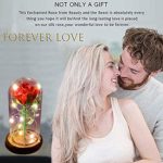 URBANSEASONS Beauty and The Beast Rose, Red Silk Rose That Lasts Forever in a Glass Dome with LED Lights,Gift for Mothers Day Valentine’s Day Wedding Anniversary